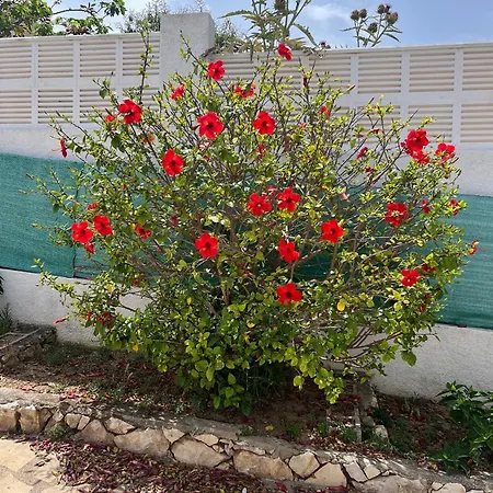 Casa Ti Villa El Tosalet