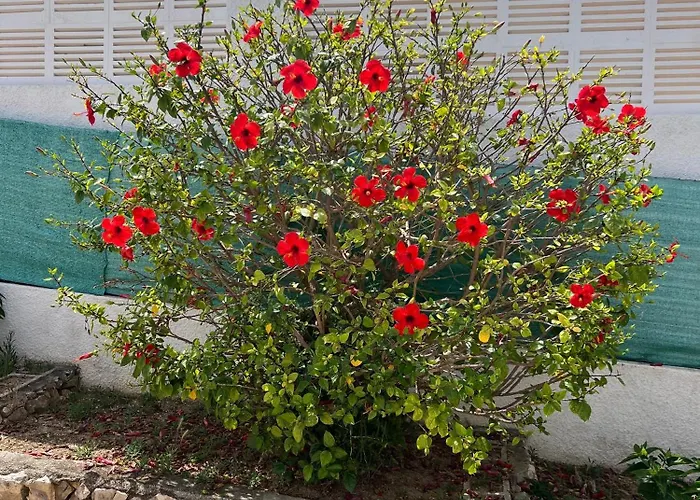 Casa Ti Villa El Tosalet